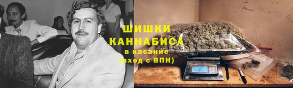 трава Балахна