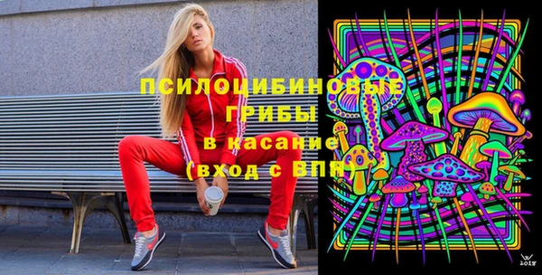 стаф Армянск