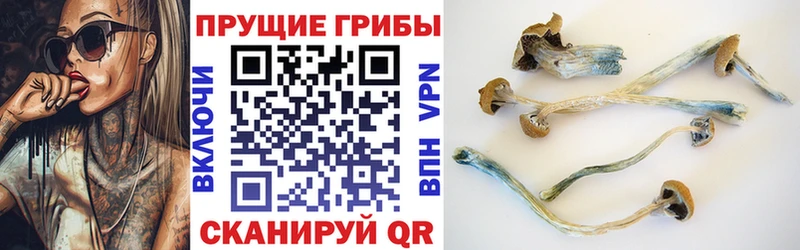 Псилоцибиновые грибы мицелий  сколько стоит  Шумерля 
