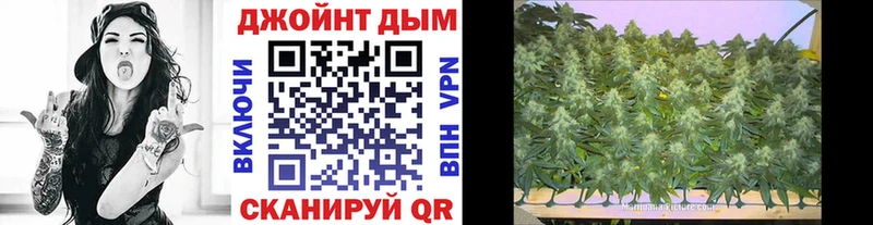 Конопля сатива  мега маркетплейс  Шумерля 